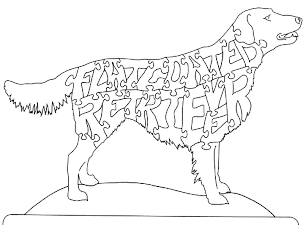 Flat Coated Retriever - Fox Chapel Publishing Co.