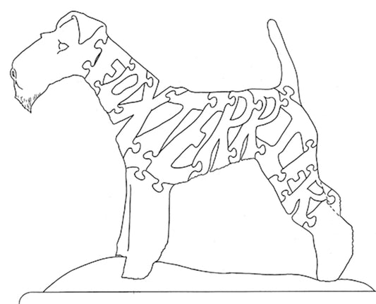 Fox Terrier-Nose to Tail