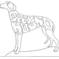 Greyhound - Fox Chapel Publishing Co.