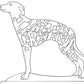 Italian Greyhound