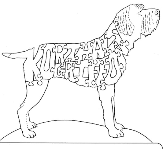 Korthals Griffon