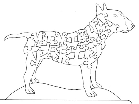 Mini Bull Terrier