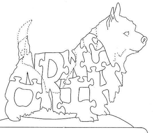 Norwich Terrier - Norwich