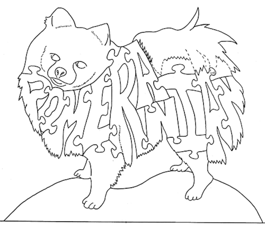 Pomeranian