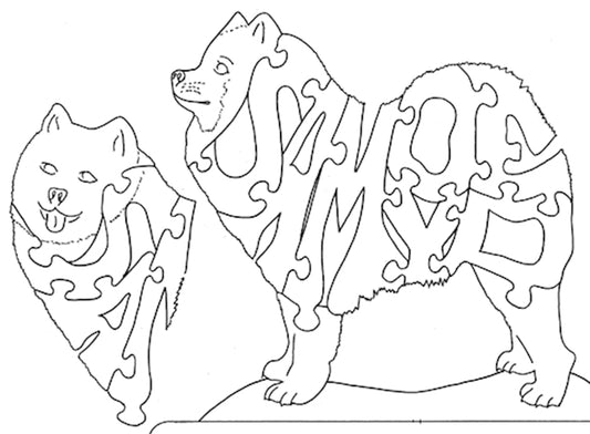 Samoyed