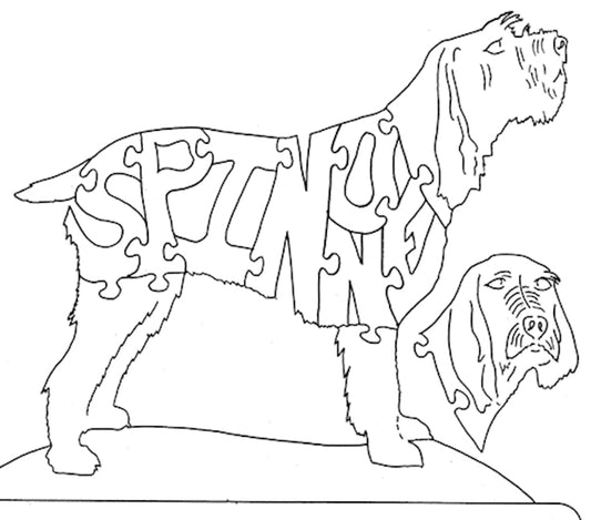 Spinone