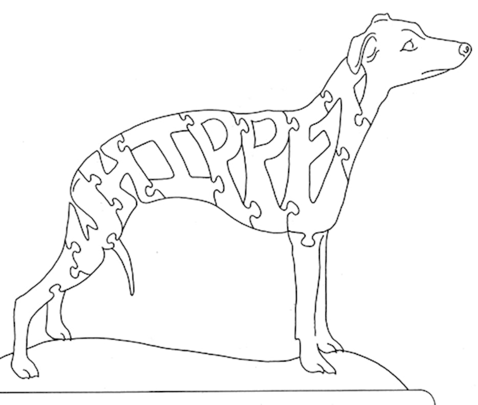 Whippet