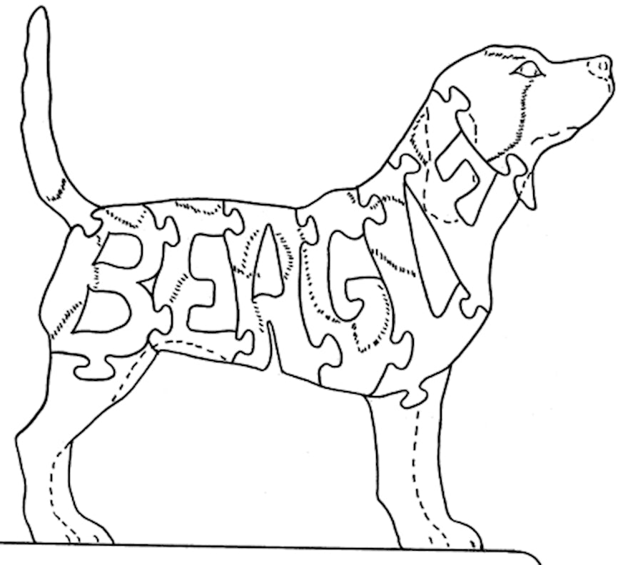 Beagle