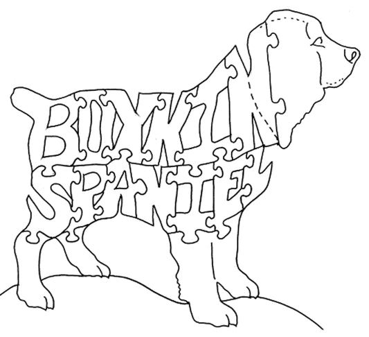 Boykin Spaniel-S Carolina Dog