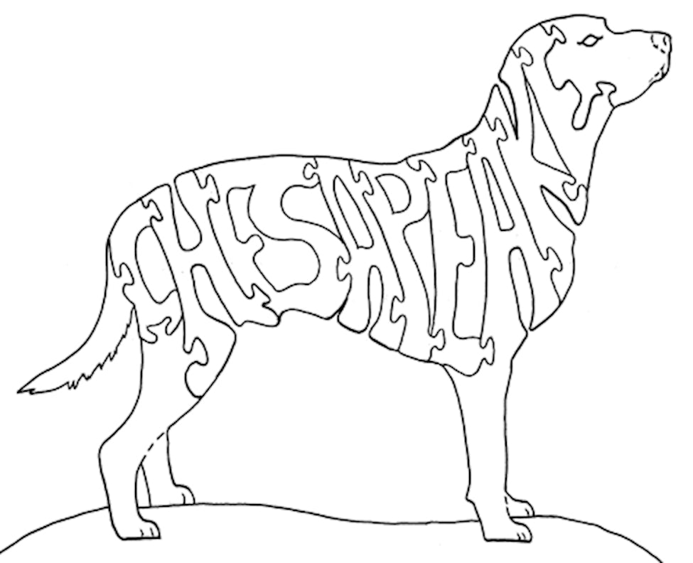 Chesapeake-Tail to Nose - Fox Chapel Publishing Co.