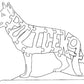 German Shepherd-Police K9