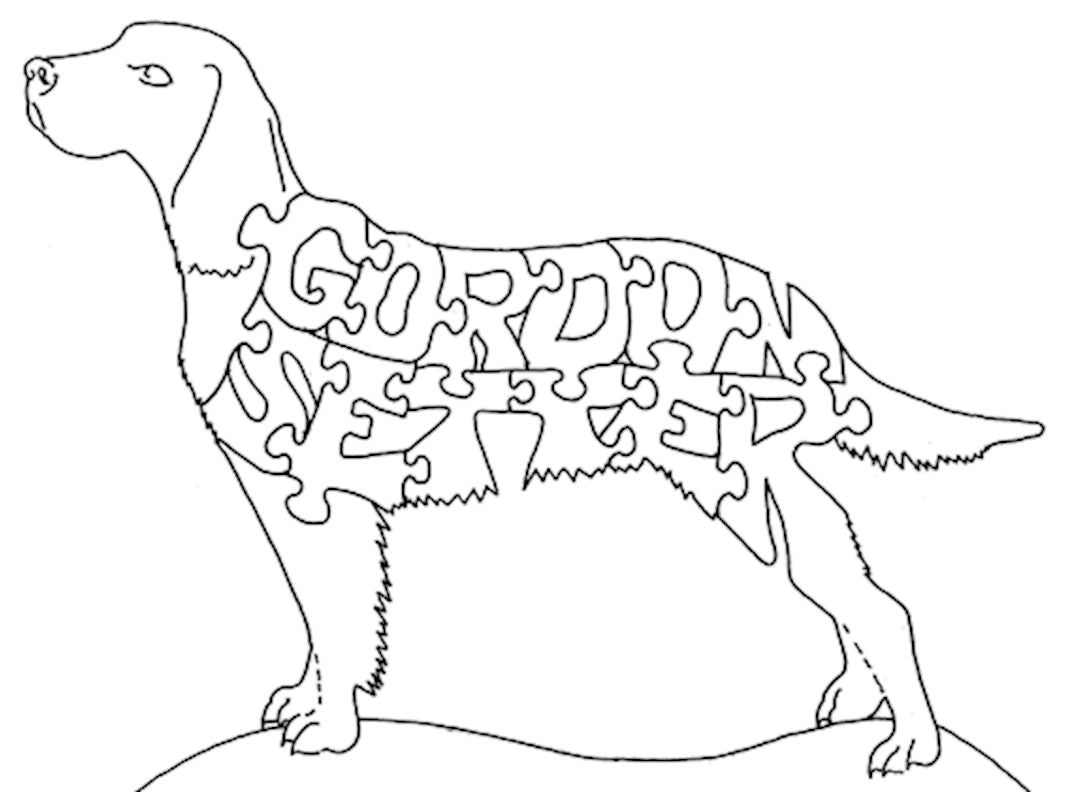 Gordon Setter - Fox Chapel Publishing Co.