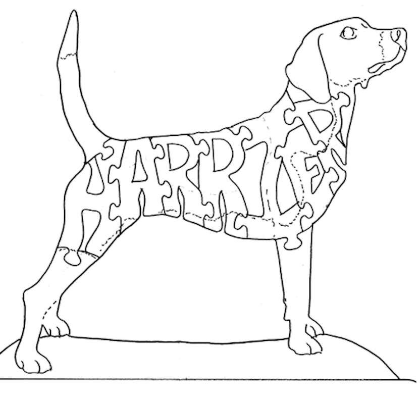 Harrier - Tail to Nose - Fox Chapel Publishing Co.