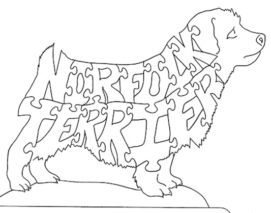 Norfolk Terrier