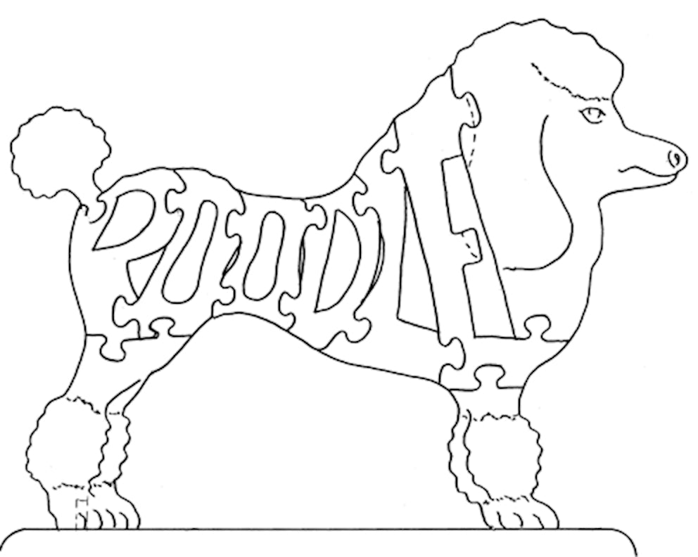 Poodle - Standing