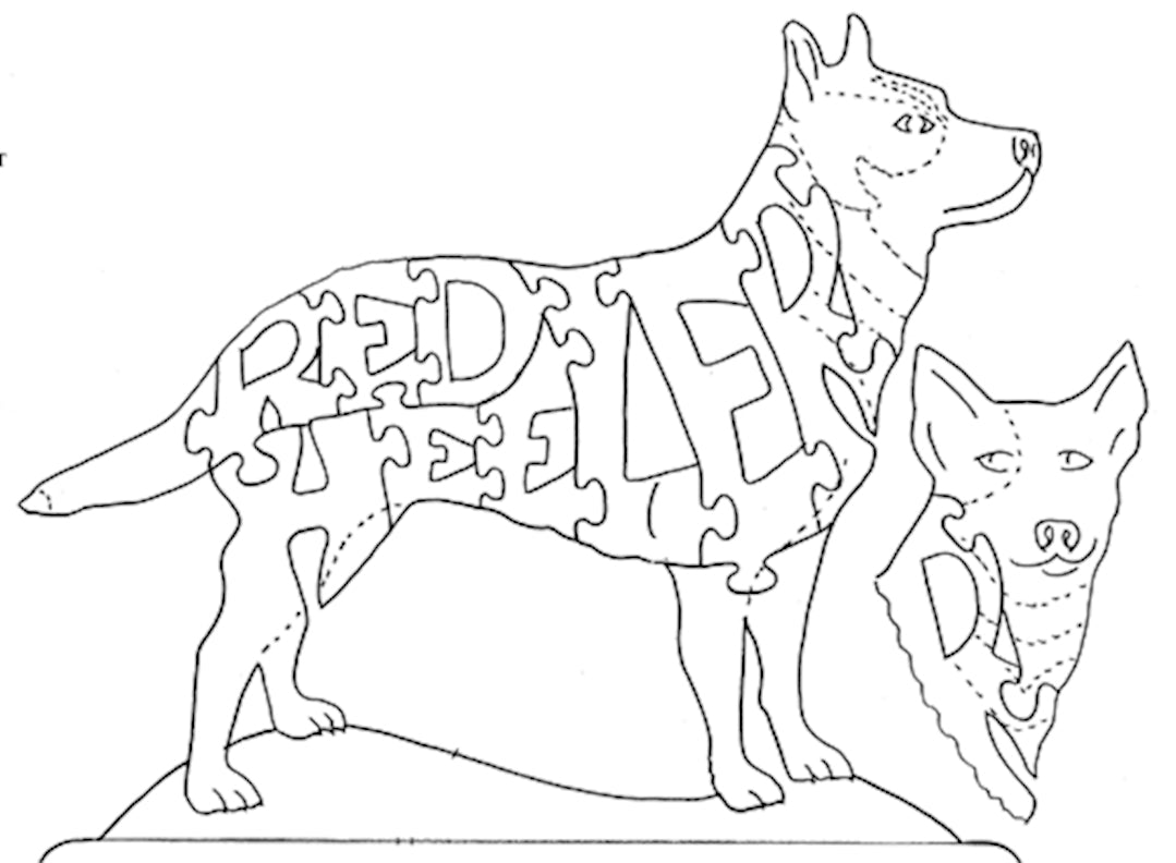Australian Cattle Dog-Red Heeler