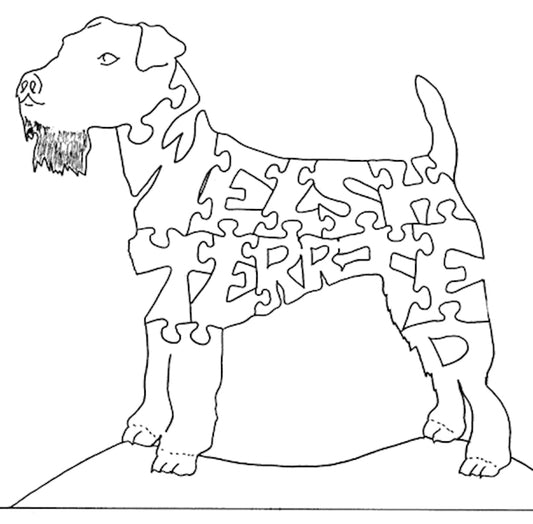 Welsh Terrier