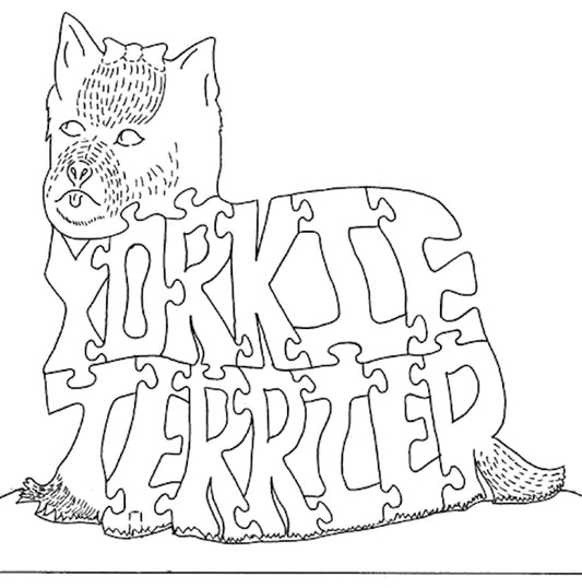 Yorkie Terrier