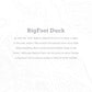 You've Been Ducked Jeep® Brand Coloring Book