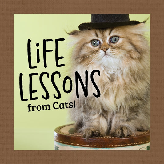 Cover of “Life Lessons from Cats!” hardcover book showing a fluffy cat in a top hat sitting on a round stool.