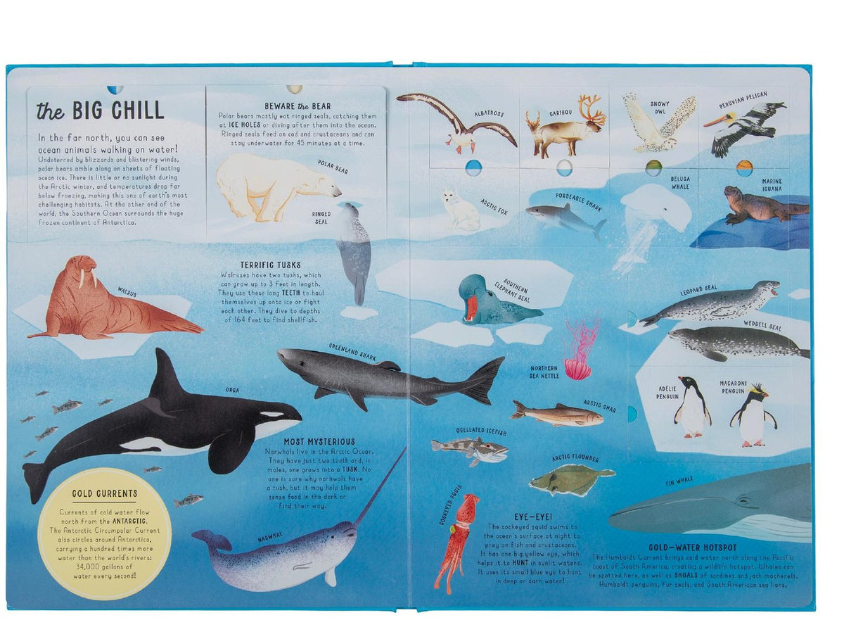 Ultimate Encyclopedia of Oceans