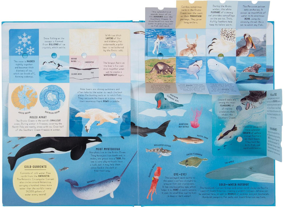 Ultimate Encyclopedia of Oceans
